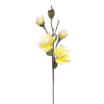 FOAM ΚΙΤΡΙΝΟ ΑΝΘΟΣ ΚΑΜΕΛΙΑ Χ6 40x85cm 12/120KIB