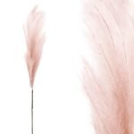 FOAM ΣΑΠΙΟ ΜΗΛΟ  PAMPAS - Y117/64cm 12/120KIB