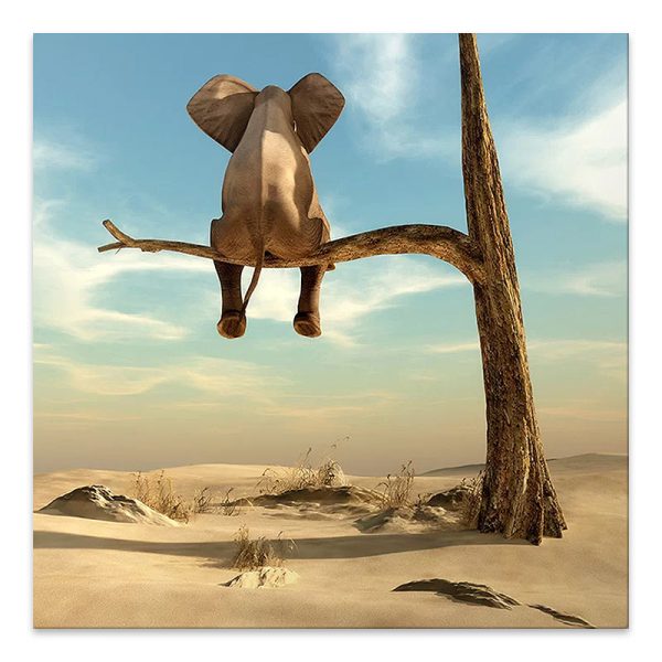 Πίνακας σε καμβά "Elephant on Branch" Megapap ψηφιακής εκτύπωσης 50x50x3εκ.