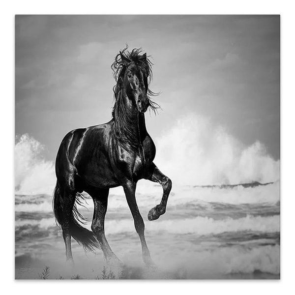 Πίνακας σε καμβά "Black Horse" Megapap ψηφιακής εκτύπωσης 60x60x3εκ.