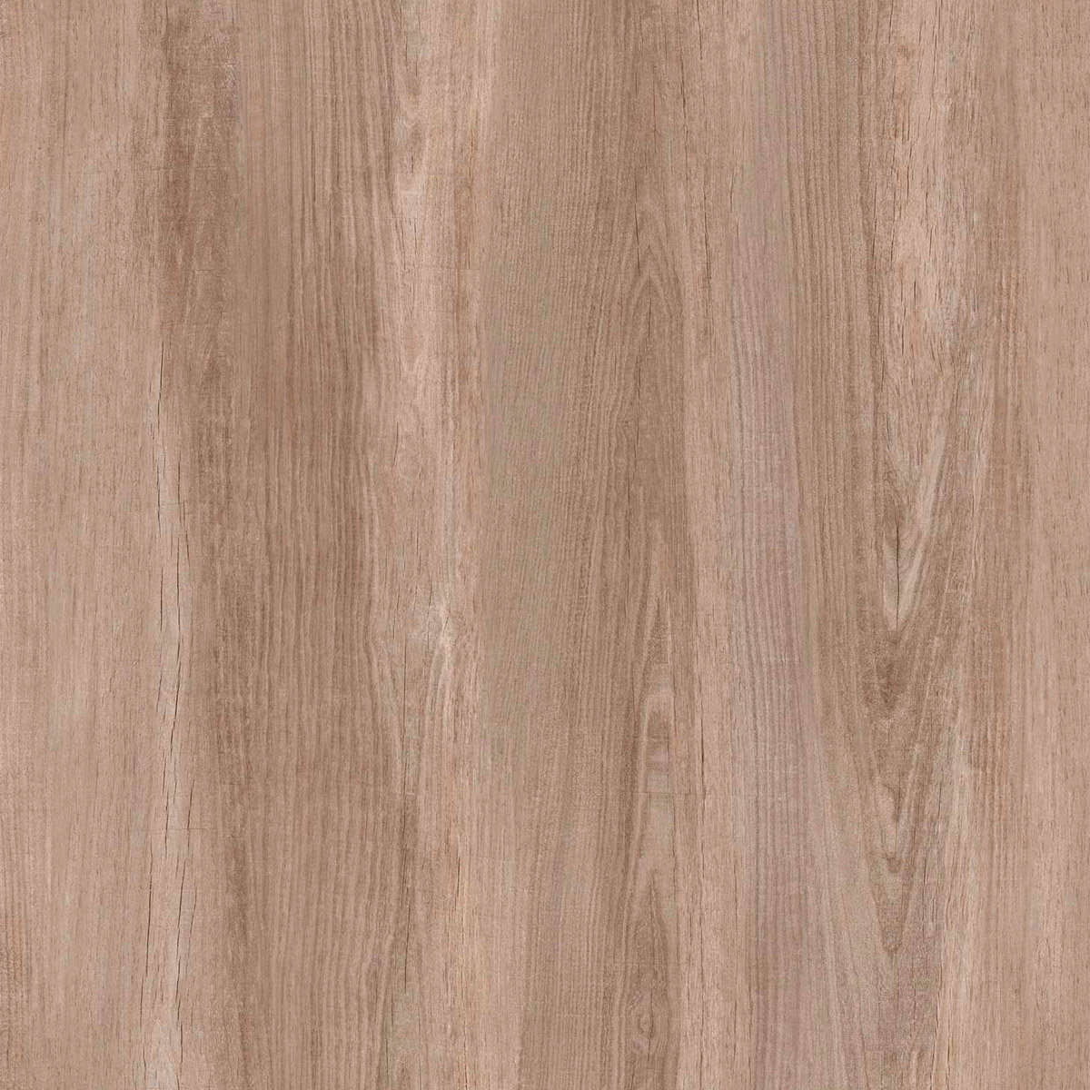 Δάπεδο Laminate GENESIS ELM 8201 KARAG 8mm