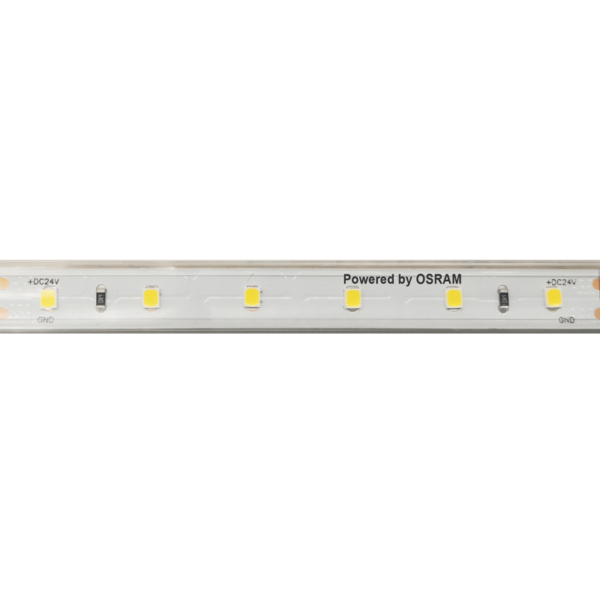 ^LED SMD STRIP 24V DC 12W/M 4000K 1250LM/M IP66 12MM CRI80 OSRAM 2835 60LEDS/M 3SDCM 5M REEL 5YRS